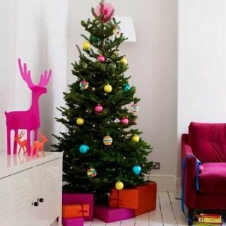 شجرة عيد الميلاد من نوردمان التنوب - شجرة فاخرة منعشة غير قابلة للسقوط (حوالي 6 أقدام) + تم تسليمها من 7 ديسمبر إلى 12 ديسمبر +