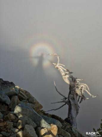 شبح مكسور يظهر فوق حديقة جبل رينييه الوطنية