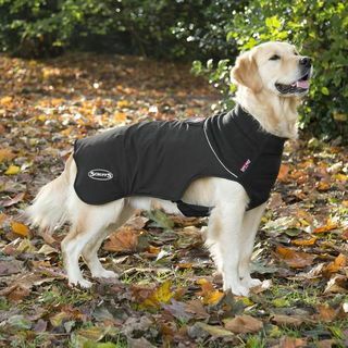 معطف الكلب الحراري ذاتي التسخين - أسود