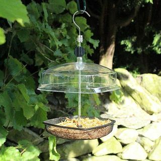 Kingfisher معلقة Mealworm Bird Feeder مع مظلة بلاستيكية