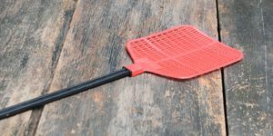 منشة الذبابة الحمراء منشة ذبابة واحدة مصنوعة من البلاستيك ولا تفشل في اصطياد الذباب على خلفية أرضية خشبية