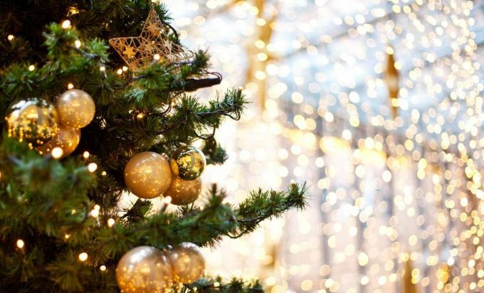 شجرة عيد الميلاد المقصوصة مع الزخارف في الليل