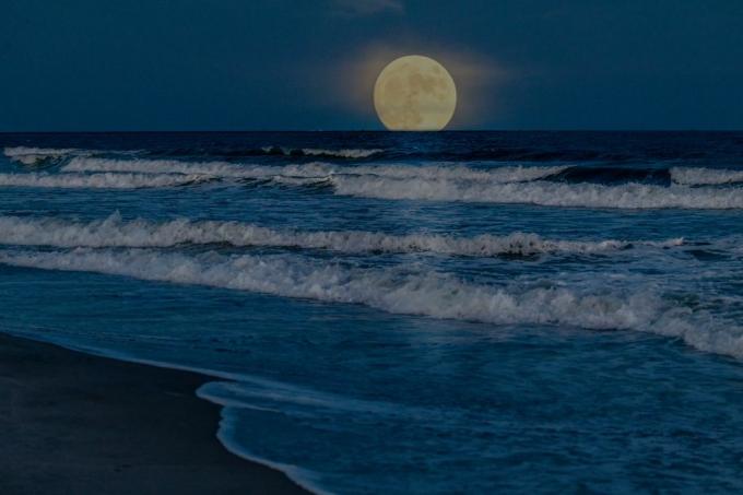 اكتمال القمر العملاق يرتفع فوق المحيط بالقرب من شاطئ ميرتل بجنوب كارولينا