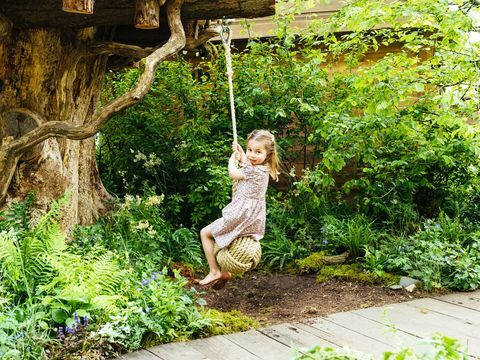 الأميرة تشارلوت تشيلسي زهرة حديقة المعرض