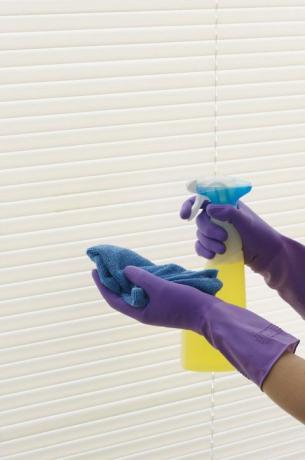 زوج من الأيدي في قفازات مطاطية أرجوانية لتنظيف الستائر بالرش والقماش