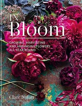 في بلوم: زراعة الزهور وحصادها وترتيبها على مدار السنة
