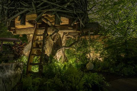 عرض تشيلسي للزهور - عودة كيت ميدلتون إلى حديقة الطبيعة في المساء ، إضاءة Philips