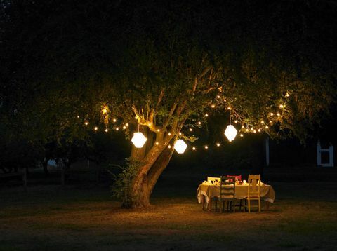 تناول الطعام في الحديقة مع أضواء خرافية