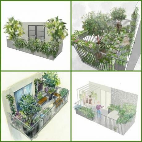 rhs chelsea flower show 2021 شرفة الحدائق