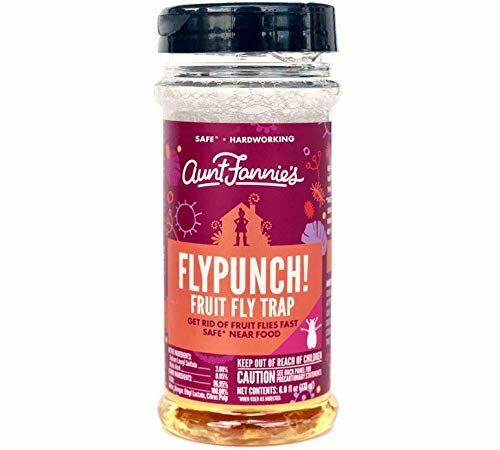 FlyPunch مصيدة ذباب الفاكهة غير السامة