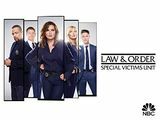 القانون والنظام: SVU الموسم 20