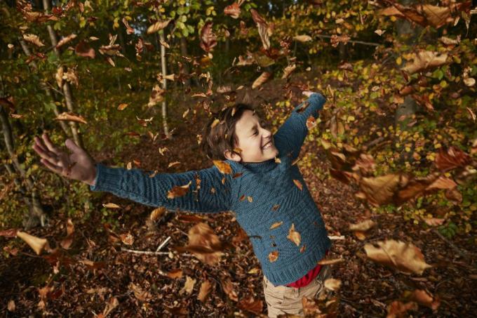 صبي مبتهج يتمتع وسط أوراق الخريف المتساقطة