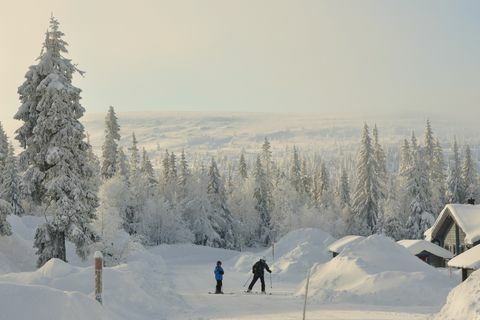 5 تجارب عطلة في القطب الشمالي تحتاج إلى محاولة