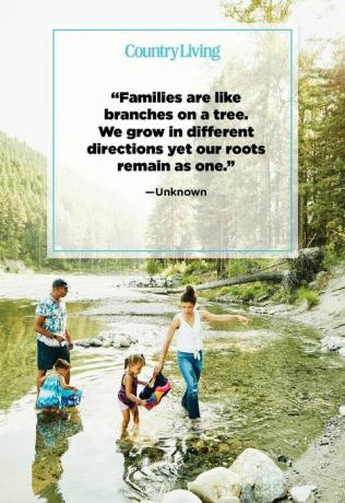 العائلات مثل الفروع على شجرة ننمو في اتجاهات مختلفة ولكن جذورنا تبقى واحدة