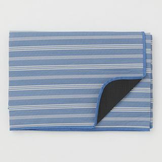 بطانية للنزهة مخططة باللونين الأزرق والأبيض من H&M