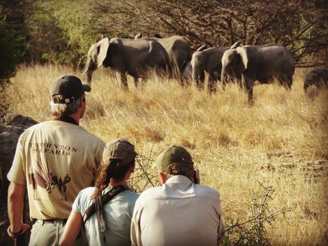 المسافرون على Great Serengeti Traverse 